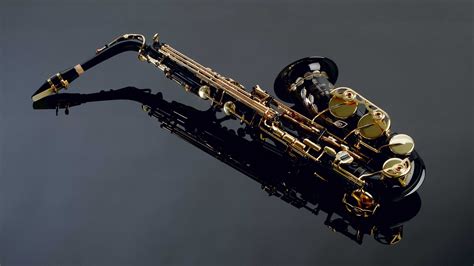 sacxi video|Free Saxophone Videos: 4K & HD .